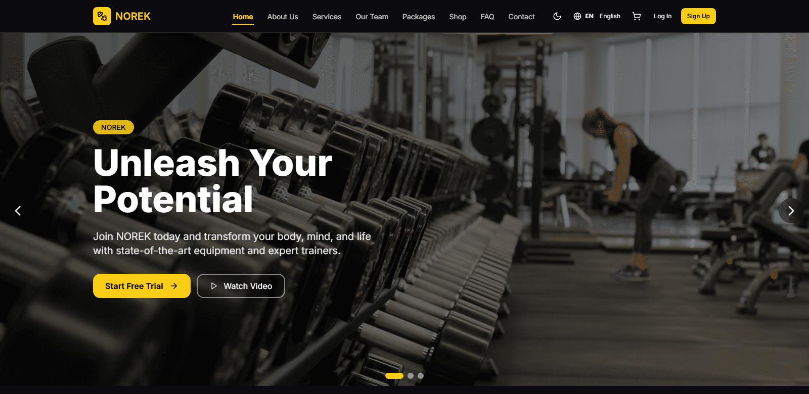 NOREK Fitness Platform